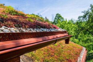 Green roof replacement in Aledo Texas