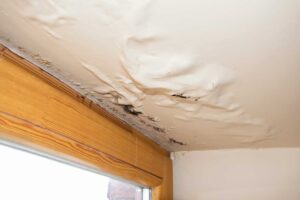 roof-leak-damage roof leak damage roofing in Aledo Texas